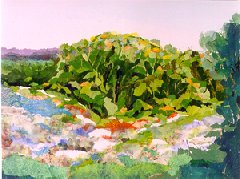 Hill Country Collage, $ 1200, 
29" X 37", collage on paper
