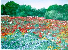 Spring Wildflower, $ 195, 
11" X 15", acrylic on paper